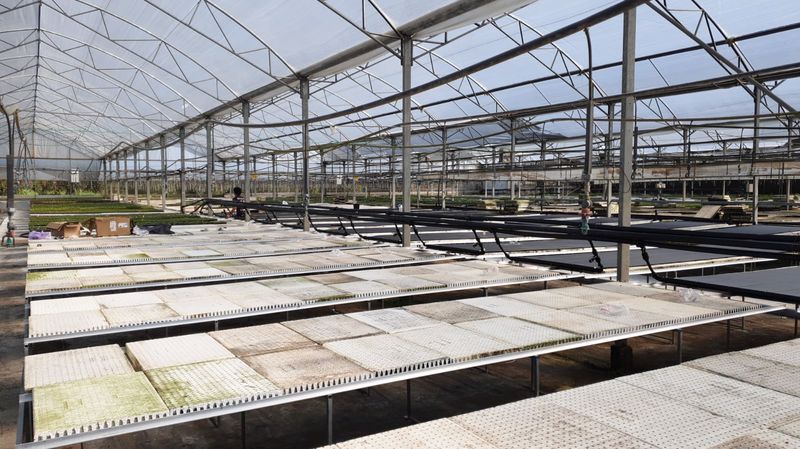 MAGEN'S AGRIMAT FOR GREENHOUSE