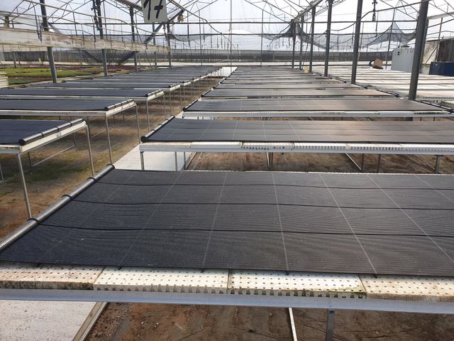 MAGEN'S AGRIMAT FOR GREENHOUSE