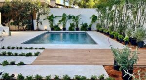 בריכת קומפאס Fun 74 בשרון | בריכת פיברגלס יוקרתית בעיצוב גינה מוקפד