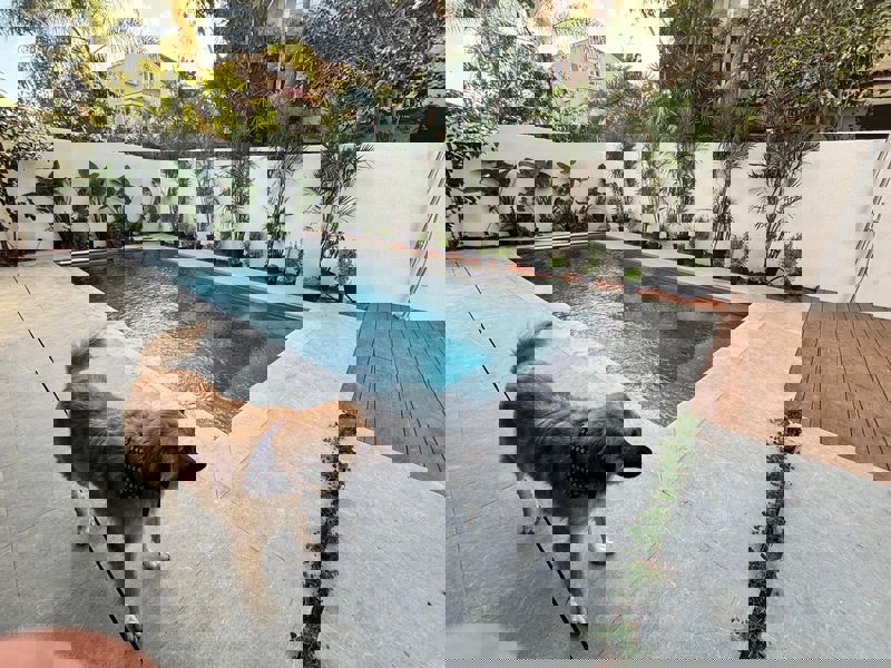 בריכת יוקרה AVIA POOLS